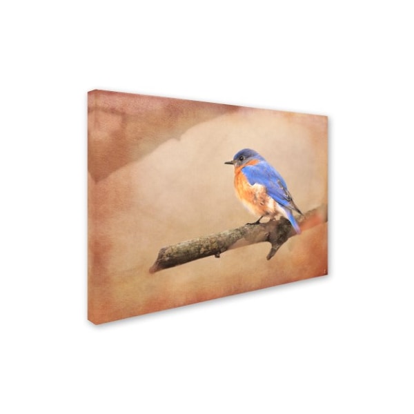 Jai Johnson 'Braving Autumn Bluebird' Canvas Art,18x24